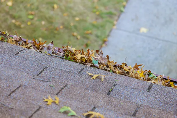 Gutter Cleaning Company