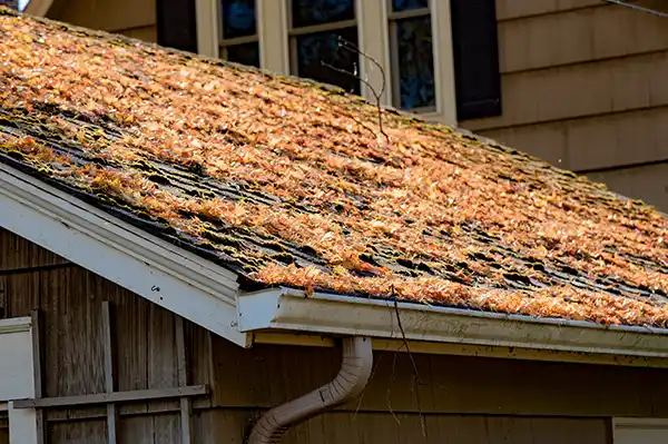 Gutter Cleaning Services in Easley