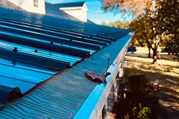 Seneca SC Gutter Guards
