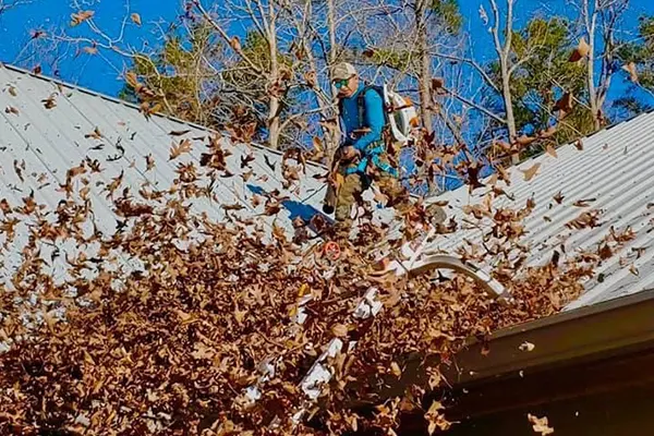 Roof and Gutter Cleaning in Seneca South Carolina